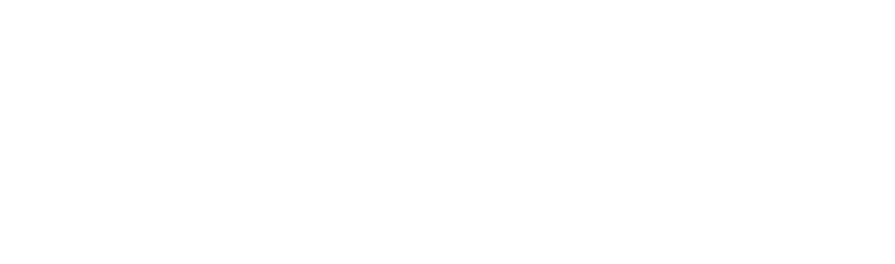Lapo Numismatics