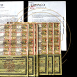 1924 Germany Treasury Bond – 8.15% (25 Consecutive Bonds) 5 Million Mark With Passco Certification