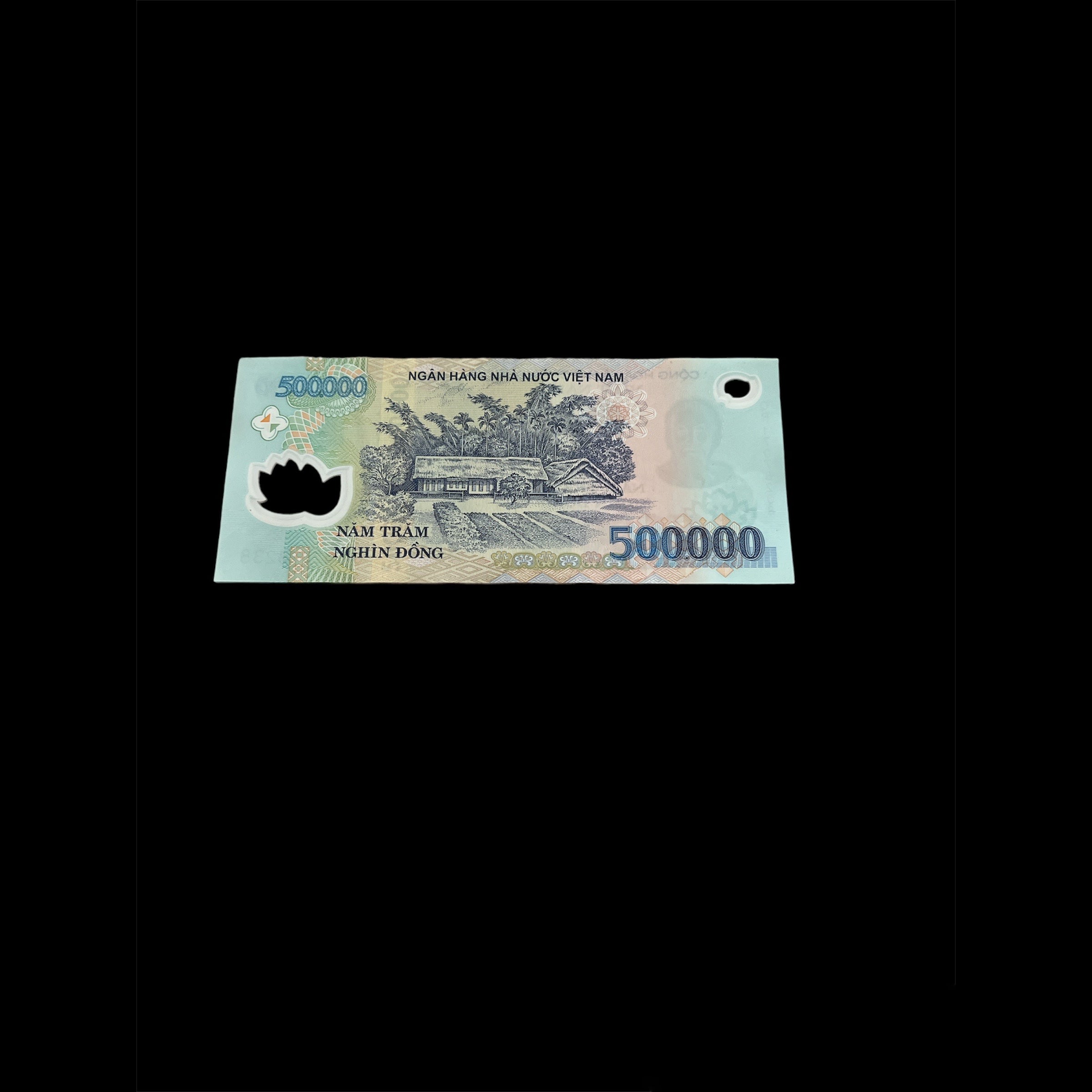 Vietnamese Dong Banknote-500,000 Vnd Vietnam
